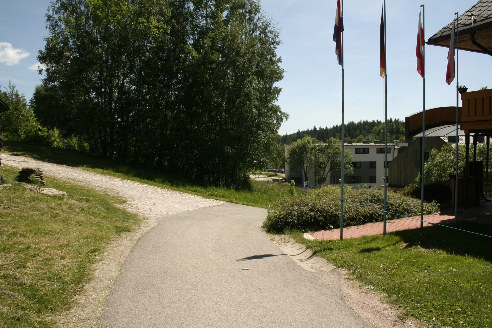 Fotografie