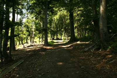006 Fri 0.85km straight ahead.JPG
