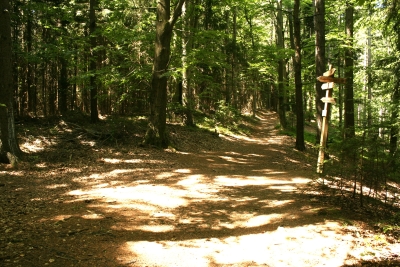 009 Fri 1.0km straight ahead.JPG