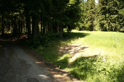 031 Fri 3.55km across road.JPG