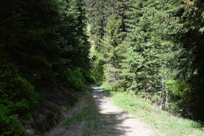 050 Fri 5.5km straight ahead.JPG