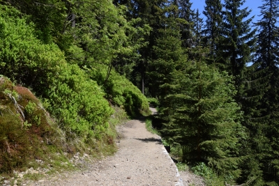 052 Fri 5.6km straight ahead.JPG