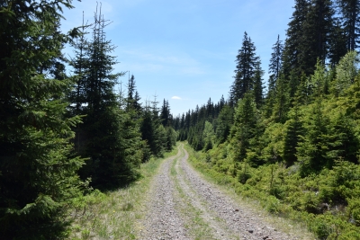 062 6.6m straight ahead downhill.JPG