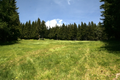 029 Sat 2.8km turn left.JPG