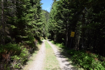 038 Sat 3.5km straight ahead.JPG