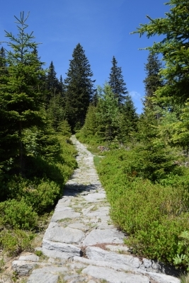 049 Sat 4.6km straight ahead.JPG