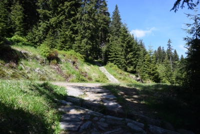 050 Sat 4.7km turn left.JPG