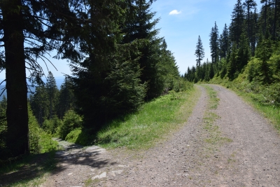 051 Sat 4.75km straight ahead.JPG