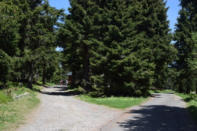 063 Sat 6.55km turn left.JPG