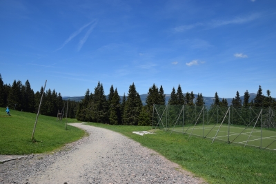 067 Sat 7.1km straight ahead downhill.JPG