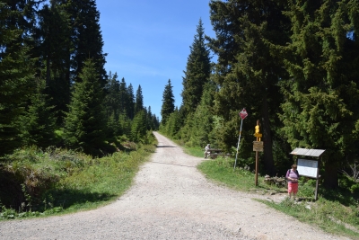 070 Sat 7.45km straight ahead.JPG