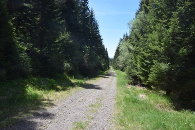 076 Sat 10.0km keep straight ahead downhill.JPG