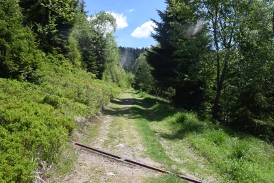 079 Sat 11.5km straight ahead up.JPG