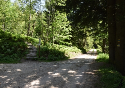 083 Sat 13.5km sharp turn left uphil.JPG