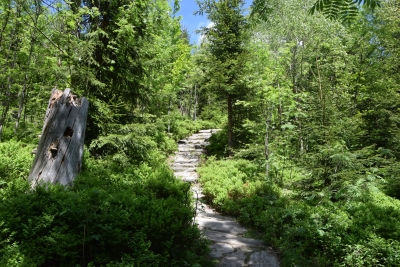 085 Sat 13.6km  straight ahead uphill - steep stone stairs.JPG