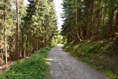 107 Sat 18.0km keep straight ahead downhill.JPG