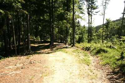 125 Sat 21.4km keep left.JPG