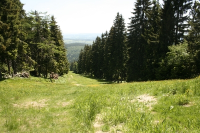 049 Sun 4.3km keep right.JPG
