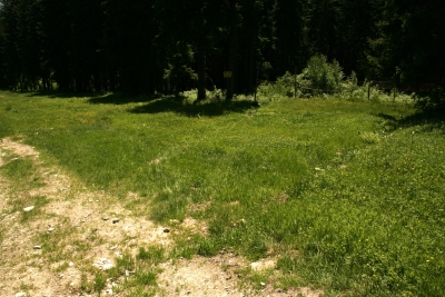 050 Sun 4.35km turn right.JPG