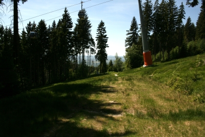052 Sun 4.5km turn left.JPG
