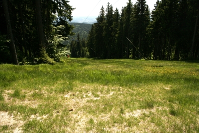 053 Sun 4.6km straight ahead.JPG