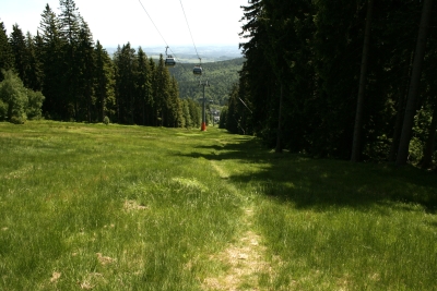 054 Sun 4.7km straight ahead.JPG