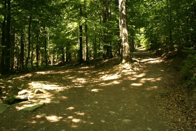 076 Sun 6.7km keep left.JPG