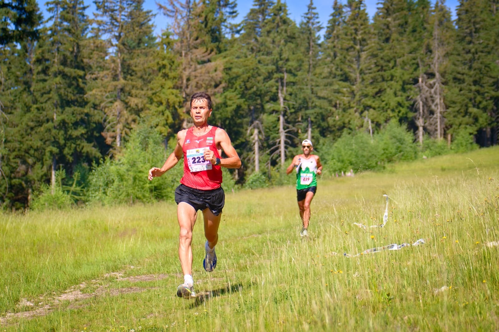 Fotografie