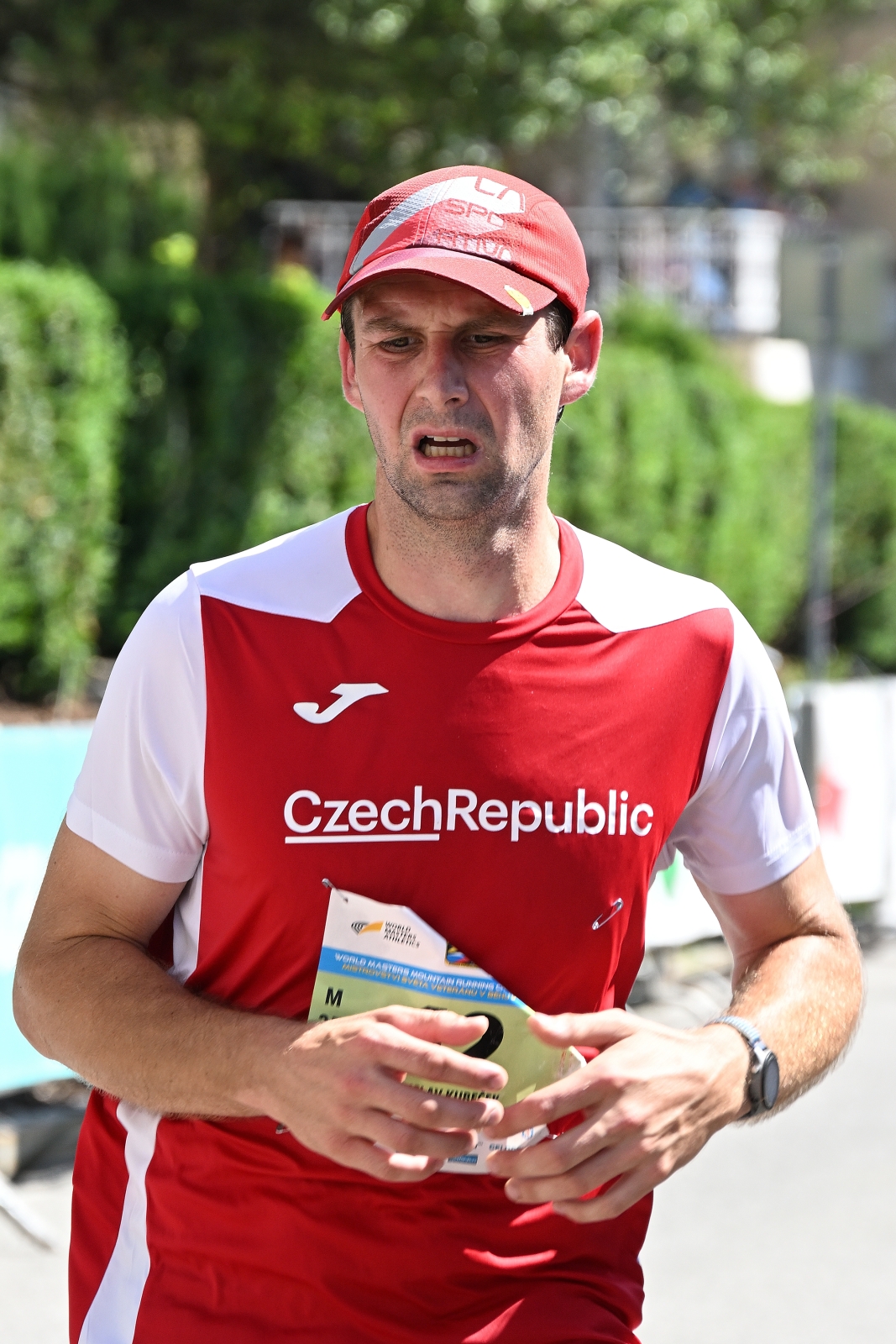 Fotografie